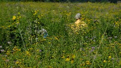 Ruth Bennett McDougal Dorrough; Judy Geisler; prairie; IAT, WI