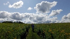 clouds; IAT; Table Bluff Segment, WI