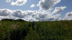 clouds; IAT; Table Bluff Segment, WI