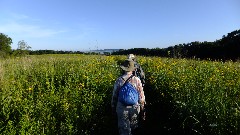 Ruth Bennett McDougal Dorrough; Judy Geisler; prairie; IAT; Hickory Hill Conservancy Park