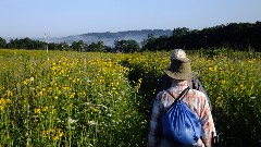 Ruth Bennett McDougal Dorrough; Judy Geisler; prairie; IAT; Hickory Hill Conservancy Park