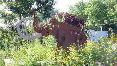 Wooly Mammoth sign; IAT Headquarters; Cross Plains Segment, WI