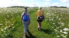 Ruth Bennett McDougal Dorrough; Judy Geisler; Cross Plains Interpretive Site, WI