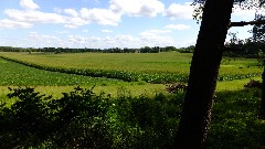 Cross Plains Interpretive Site, WI