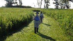 Ruth Bennett McDougal Dorrough; Judy Geisler; IAT; Verona Segment, WI