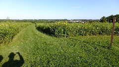 prairie; IAT; Verona Segment, WI