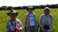 weeding the prairie ; Ruth Bennett McDougal Dorrough; unknown other; Judy Geisler;