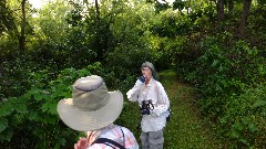 Ruth Bennett McDougal Dorrough; Judy Geisler; picking black berries; IAT; Brooklyn Wildlife Area, WI