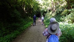 Bob Geisler; Judy Geisler; Ruth Bennett McDougal Dorrough; IAT; Badger State Trail, WI