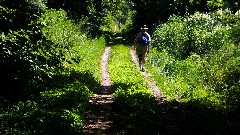 Ruth Bennett McDougal Dorrough; IAT; Sugar River State Recreation Trail, WI