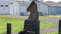 Wooden cow; statue; IAT, WI