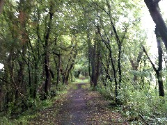 IAT; Rock River PArks, WI