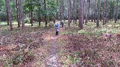 Ruth Bennett McDougal Dorrough; Judy Geisler; pine forest; IAT, WI