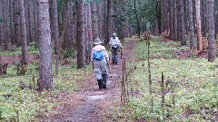 Ruth Bennett McDougal Dorrough; Judy Geisler; pine forest; IAT; Kettle Moraine, WI