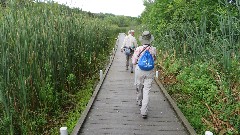 Judy Geisler; Ruth Bennett McDougal Dorrough; board walk; IAT; Delafield Segment, WI