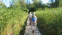 Judy Geisler; Ruth Bennett McDougal Dorrough; IAT; Hartland, WIIAT; Hartland, WI