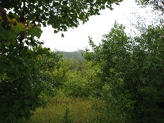 IAT; View of Holy Hill Basilica, WI