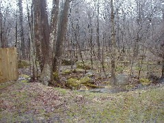 Hiking FLT M01 Allegany State Park