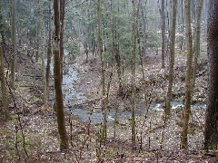 Hiking FLT M01 Allegany State Park