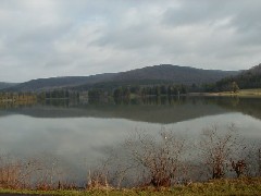 Hiking FLT M01 Allegany State Park