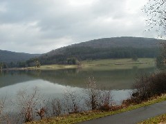 Hiking FLT M01 Allegany State Park