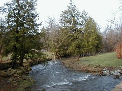 Hiking FLT M01 Allegany State Park