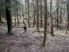 Ruth Bennett McDougal Dorrough; Hiking FLT M01 Allegany State Park