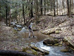 Ruth Bennett McDougal Dorrough; Hiking FLT M01 Allegany State Park