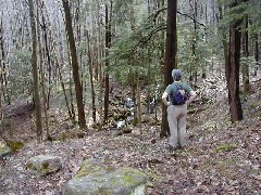 Ruth Bennett McDougal Dorrough; Hiking FLT M01 Allegany State Park