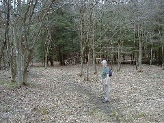 Ruth Bennett McDougal Dorrough; Hiking FLT M01 Allegany State Park