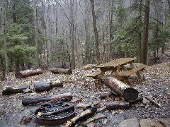 Hiking FLT M01 Allegany State Park