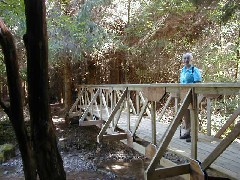 Ruth Bennett McDougal Dorrough; Hiking NCT FLT M02 bridge