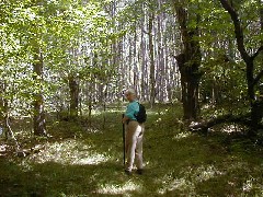 Ruth Bennett McDougal Dorrough; Hiking NCT FLT M02