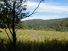 Ruth Bennett McDougal Dorrough; Hiking NCT FLT M02