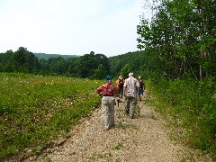 Hiking; NCT; FLT; M-03; Allegany County Hike Series