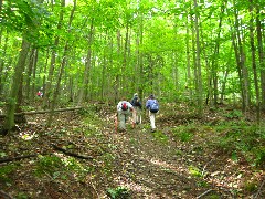 Patty Millard ; Ruth Bennett McDougal Dorrough; Sylvia; Hiking; NCT; FLT; M-03; Allegany County Hike Series