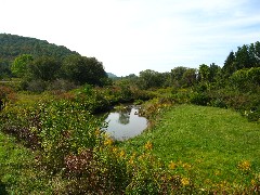 Hiking; Allegany County Hike Series; pond