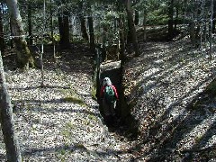 Ruth Bennett McDougal Dorrough; Hiking M03 FLT Conference