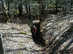 Ruth Bennett McDougal Dorrough; Hiking M03 FLT Conference