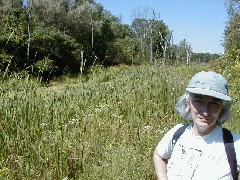 Ruth Bennett McDougal Dorrough; Hiking NCT FLT M04 Ellicottville