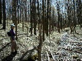 Ruth Bennett McDougal Dorrough; Hiking NCT FLT M04 Franklinville