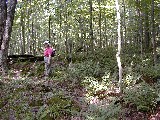 Ruth Bennett McDougal Dorrough; Hiking NCT FLT M04 Franklinville