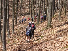 Hiking; NCT; FLT; M-05; Allegany County Hike Series