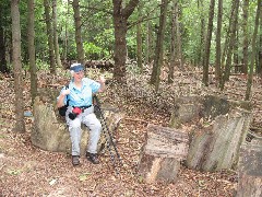 Ruth Bennett McDougal Dorrough; tree trunk chair; M-06 Hiking NCT FLT