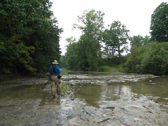 Dan Dorrough; Higgin s Creek; M-06 Hiking NCT FLT