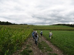 M-06 Hiking NCT FLT; Crossing the Genesee final hike