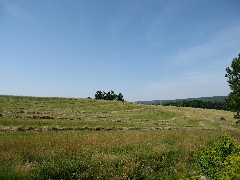 2007 Hike Series; Hay