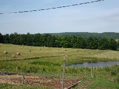 2007 Hike Series; Hay