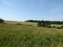 2007 Hike Series; Hay