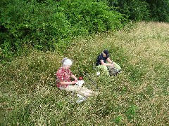 Ruth Bennett McDougal Dorrough; Lyn Jacobs; Hike Series Hiking NCT FLT